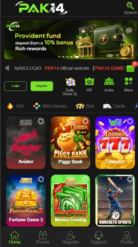 PAK14 Game Interface