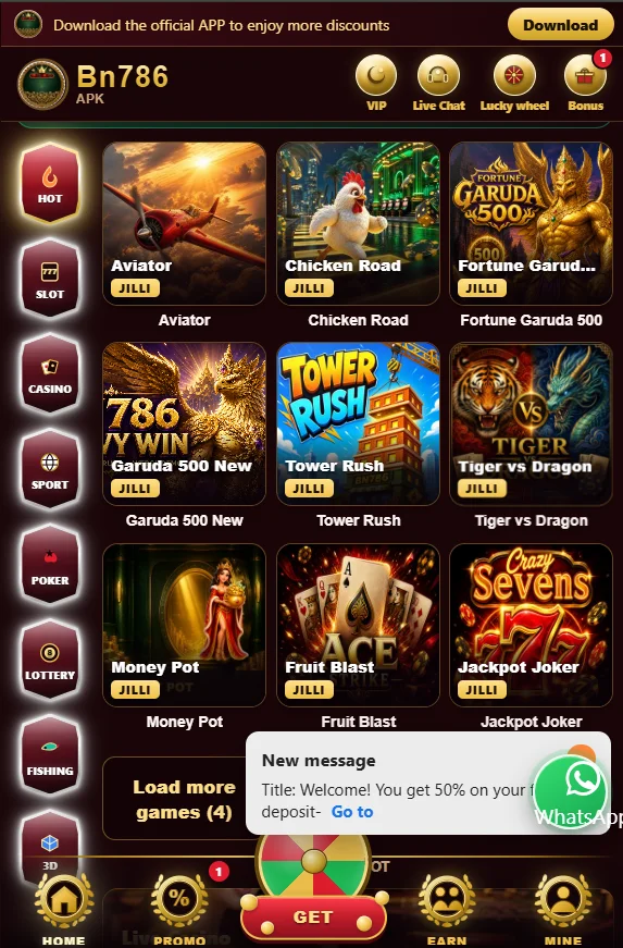 BN786 Game Internal image