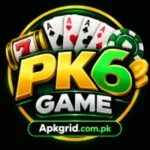 PK6 Game logo